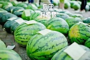 每日大赛 51热门大瓜今日大瓜,今日大瓜盘点，精彩瞬间不容错过